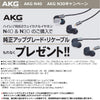 AKG N40 canal type earphone high resolution corresponding 2WAY (dynamic / BA) hybrid cable detachable black chrome N40SIL